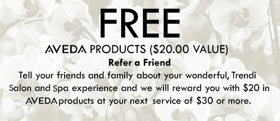 Free Aveda Products ($25.00 Value) -  At Your Next Service of $30.00 or More When You Refer Someone New to Trendi Salon and Spa